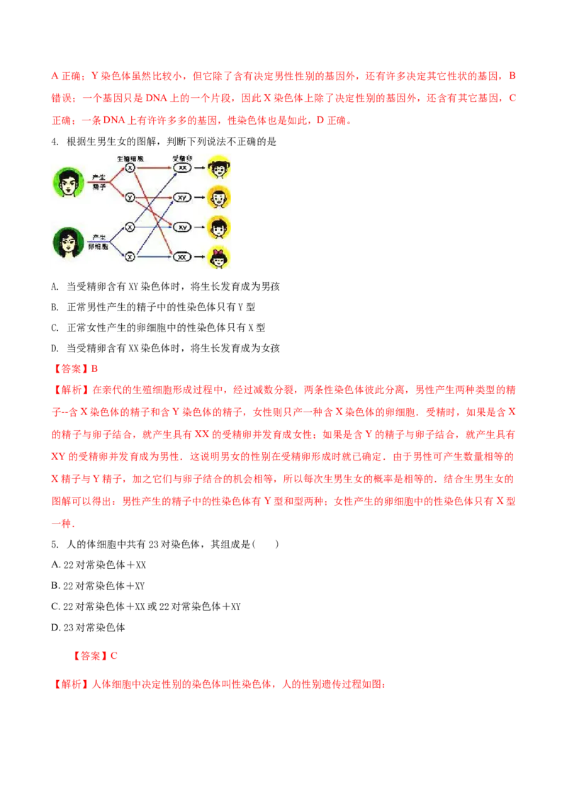 7.2.4人的性别遗传（基础练）-（人教版）（解析版）_初中全科电子版试卷练习试题_生物_生物8下练习_人教生物8年级下课时练习51份