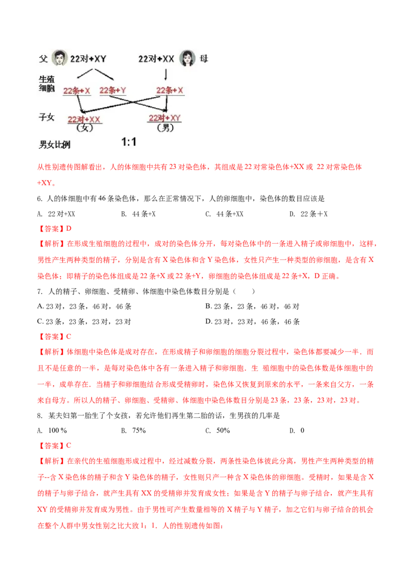 7.2.4人的性别遗传（基础练）-（人教版）（解析版）_初中全科电子版试卷练习试题_生物_生物8下练习_人教生物8年级下课时练习51份