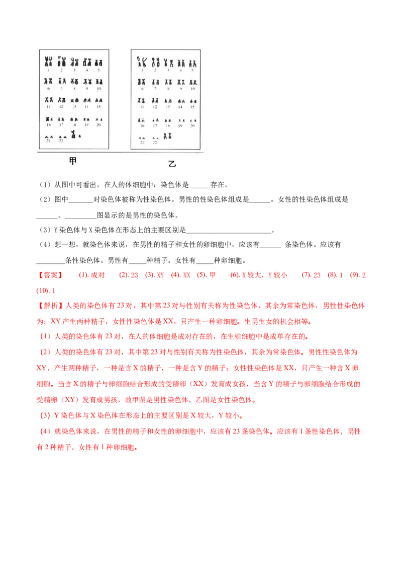 7.2.4人的性别遗传（基础练）-（人教版）（解析版）_初中全科电子版试卷练习试题_生物_生物8下练习_人教生物8年级下课时练习51份