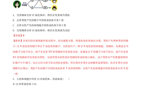 7.2.4人的性别遗传（基础练）-（人教版）（解析版）_初中全科电子版试卷练习试题_生物_生物8下练习_人教生物8年级下课时练习51份