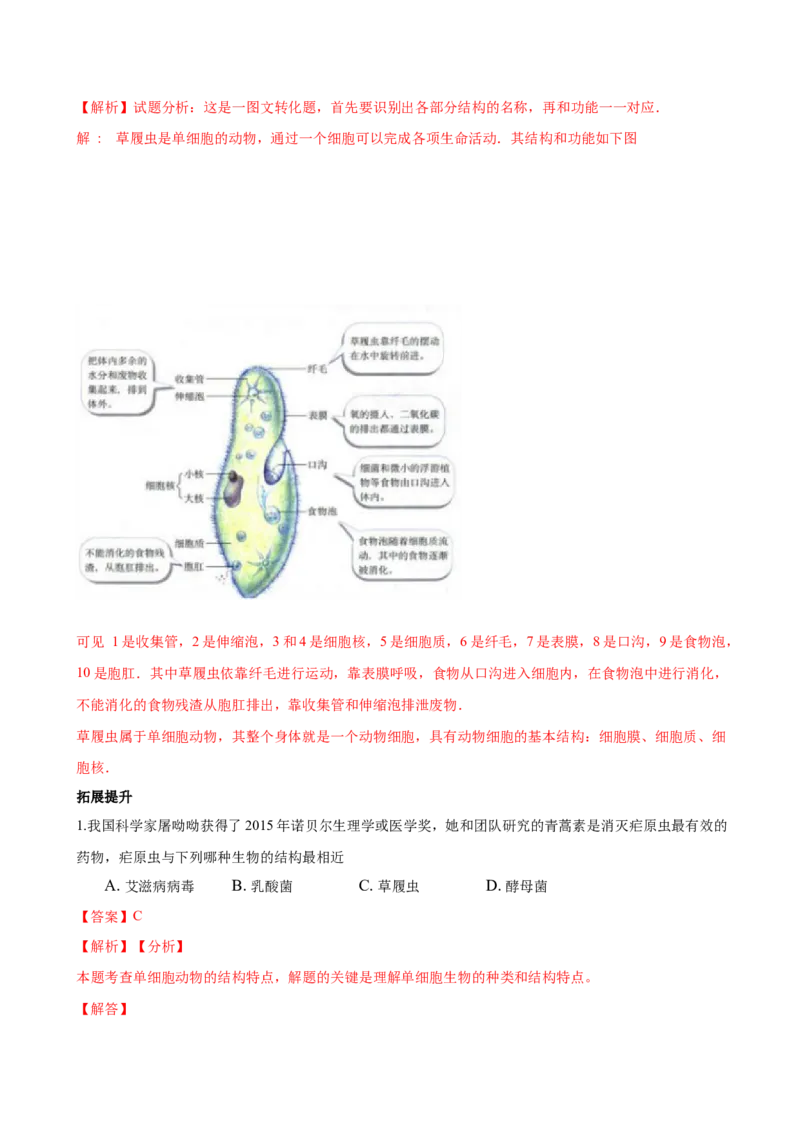专题2.2.4单细胞生物（解析版）_初中全科电子版试卷练习试题_生物_生物人教版7上练习&mdash;24新版已更新_人教生物7年级上课时练习39份_七年级生物上册课时练习（人教版）18份