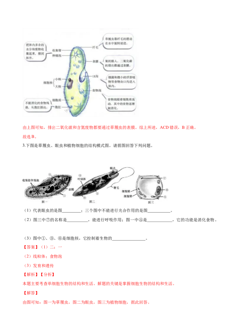 专题2.2.4单细胞生物（解析版）_初中全科电子版试卷练习试题_生物_生物人教版7上练习&mdash;24新版已更新_人教生物7年级上课时练习39份_七年级生物上册课时练习（人教版）18份