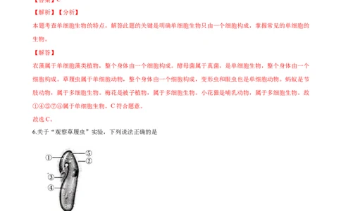 专题2.2.4单细胞生物（解析版）_初中全科电子版试卷练习试题_生物_生物人教版7上练习&mdash;24新版已更新_人教生物7年级上课时练习39份_七年级生物上册课时练习（人教版）18份