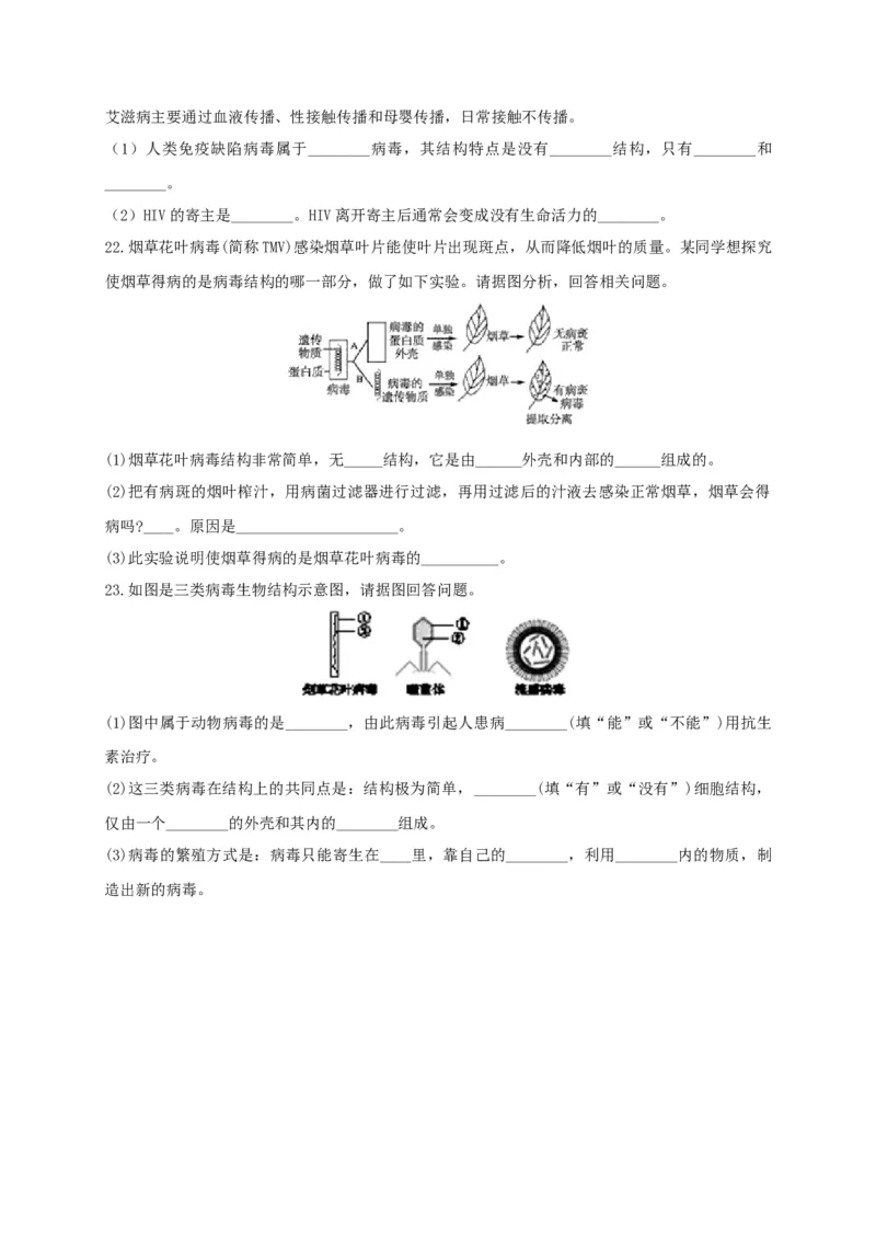 5.5病毒（章末检测）（备作业）-（人教版）（原卷版）_初中全科电子版试卷练习试题_生物_生物8上练习_人教生物8年级上单元试卷48份