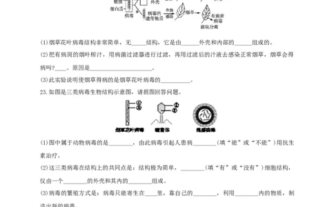 5.5病毒（章末检测）（备作业）-（人教版）（原卷版）_初中全科电子版试卷练习试题_生物_生物8上练习_人教生物8年级上单元试卷48份