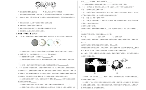 2024年中考押题预测卷（河北卷02）-生物（考试版）A3_初中全科电子版试卷练习试题_生物_2024中考模拟题生物(1)_押题预测