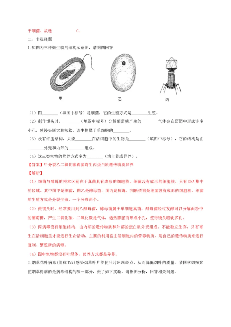5.5病毒（备作业）-（人教版）（解析版）_初中全科电子版试卷练习试题_生物_生物8上练习_人教生物8年级上课时练习37份_第2套八年级生物上册课时练习（人教版）21份