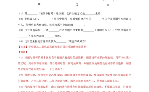 5.5病毒（备作业）-（人教版）（解析版）_初中全科电子版试卷练习试题_生物_生物8上练习_人教生物8年级上课时练习37份_第2套八年级生物上册课时练习（人教版）21份
