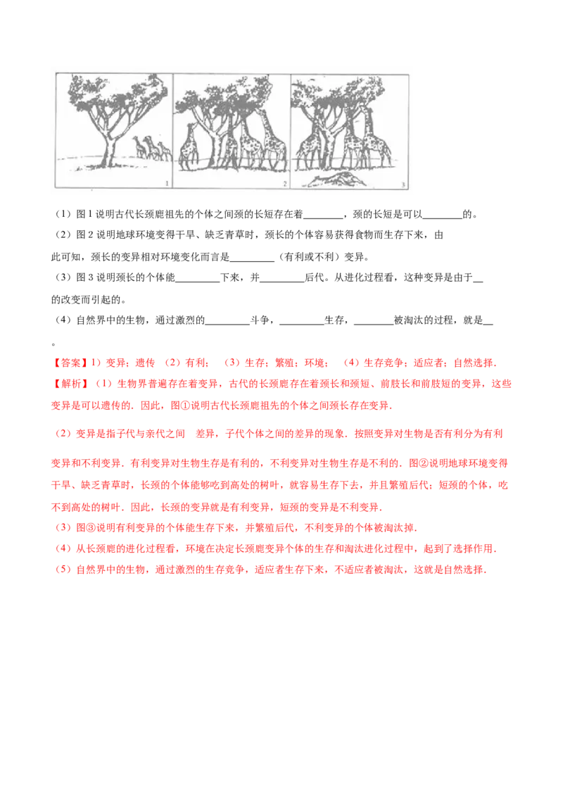 7.3.3生物进化的原因（基础练）-（人教版）（解析版）_初中全科电子版试卷练习试题_生物_生物8下练习_人教生物8年级下课时练习51份