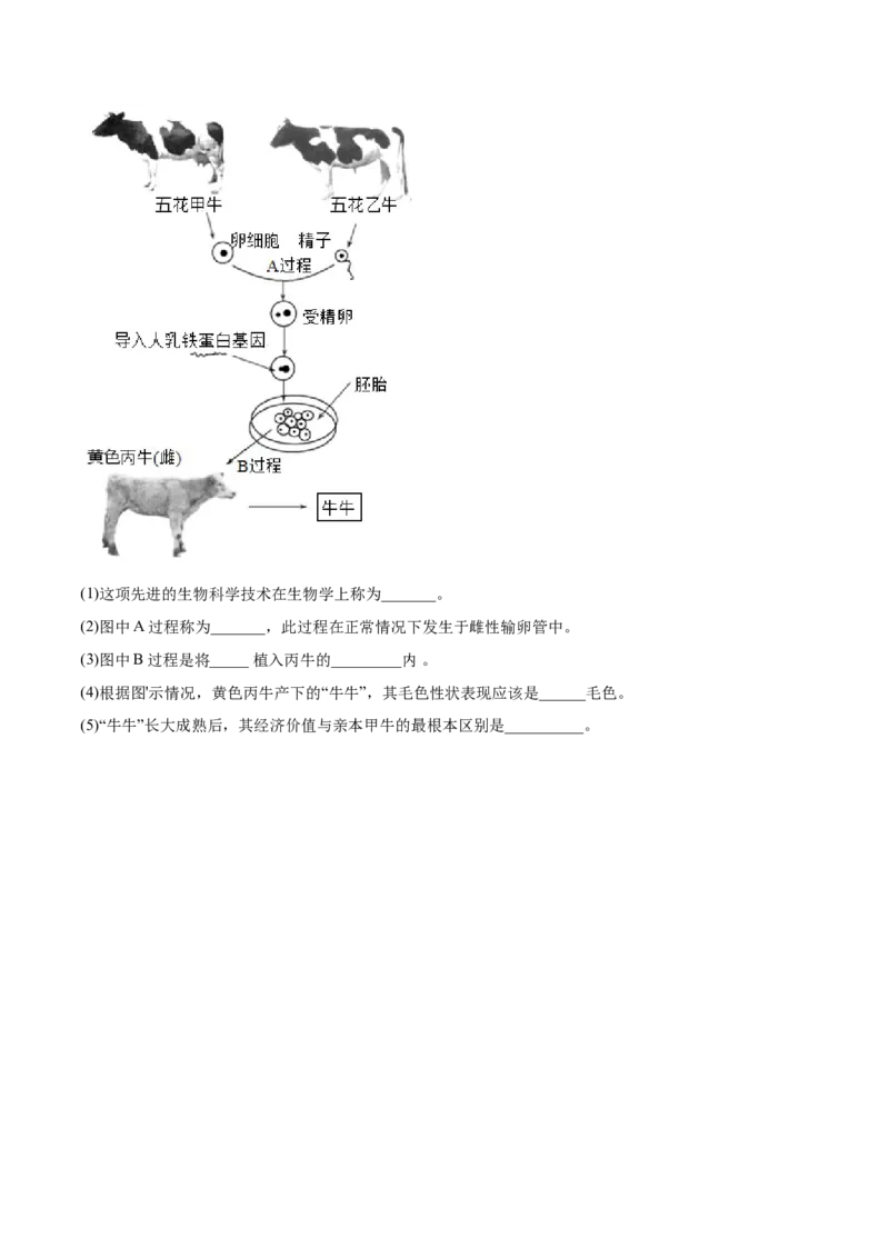 7.2.1基因控制生物的性状（基础练）-（人教版）（原卷版）_初中全科电子版试卷练习试题_生物_生物8下练习_人教生物8年级下课时练习51份