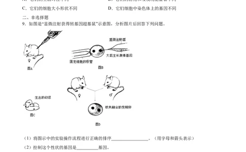 7.2.1基因控制生物的性状（基础练）-（人教版）（原卷版）_初中全科电子版试卷练习试题_生物_生物8下练习_人教生物8年级下课时练习51份