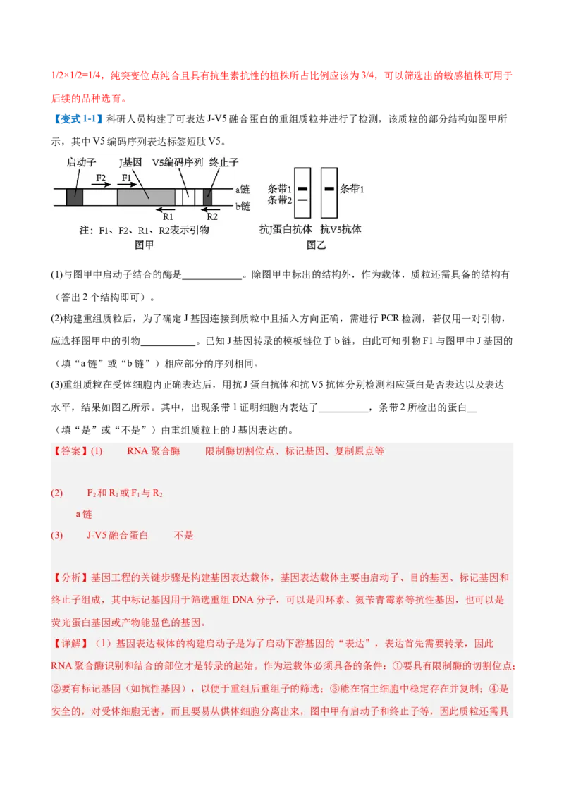 专题20非选择专题（5大题型）（解析版）_2025年新高考资料_一轮复习_备战2025年高考生物一轮复习题型全覆盖（新高考通用）