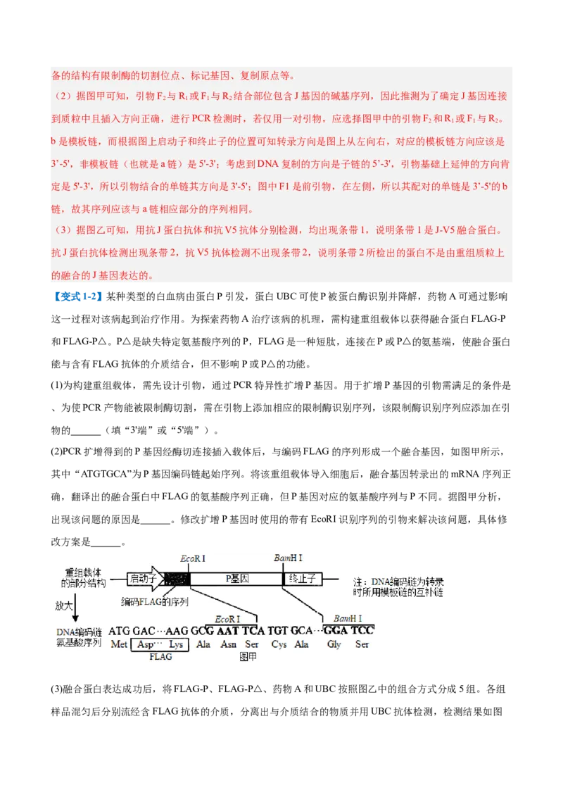 专题20非选择专题（5大题型）（解析版）_2025年新高考资料_一轮复习_备战2025年高考生物一轮复习题型全覆盖（新高考通用）