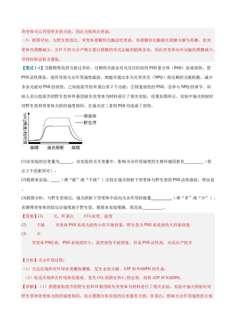 专题20非选择专题（5大题型）（解析版）_2025年新高考资料_一轮复习_备战2025年高考生物一轮复习题型全覆盖（新高考通用）