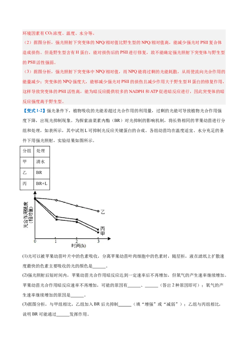 专题20非选择专题（5大题型）（解析版）_2025年新高考资料_一轮复习_备战2025年高考生物一轮复习题型全覆盖（新高考通用）