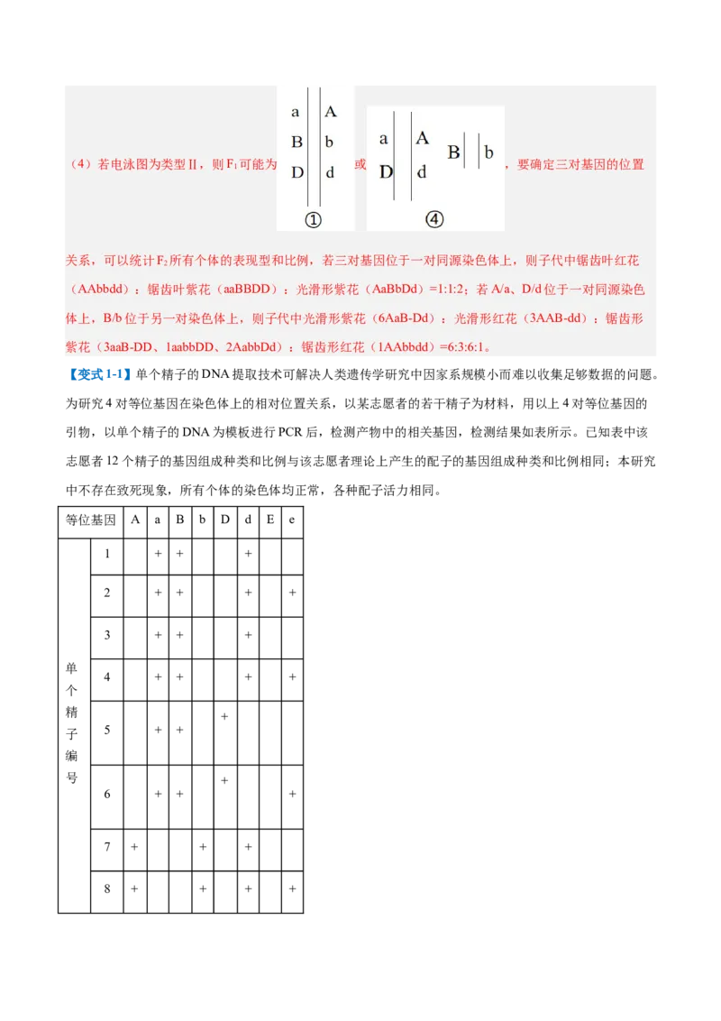 专题20非选择专题（5大题型）（解析版）_2025年新高考资料_一轮复习_备战2025年高考生物一轮复习题型全覆盖（新高考通用）
