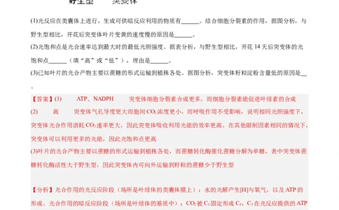 专题20非选择专题（5大题型）（解析版）_2025年新高考资料_一轮复习_备战2025年高考生物一轮复习题型全覆盖（新高考通用）