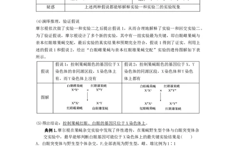 专题16基因在染色体上、伴性遗传和人类遗传病（串讲）（原卷版）_新高考复习资料_2024年新高考复习资料_一轮复习资料_完备战2024年高考生物一轮复习串讲精练（新高考专用）_串讲