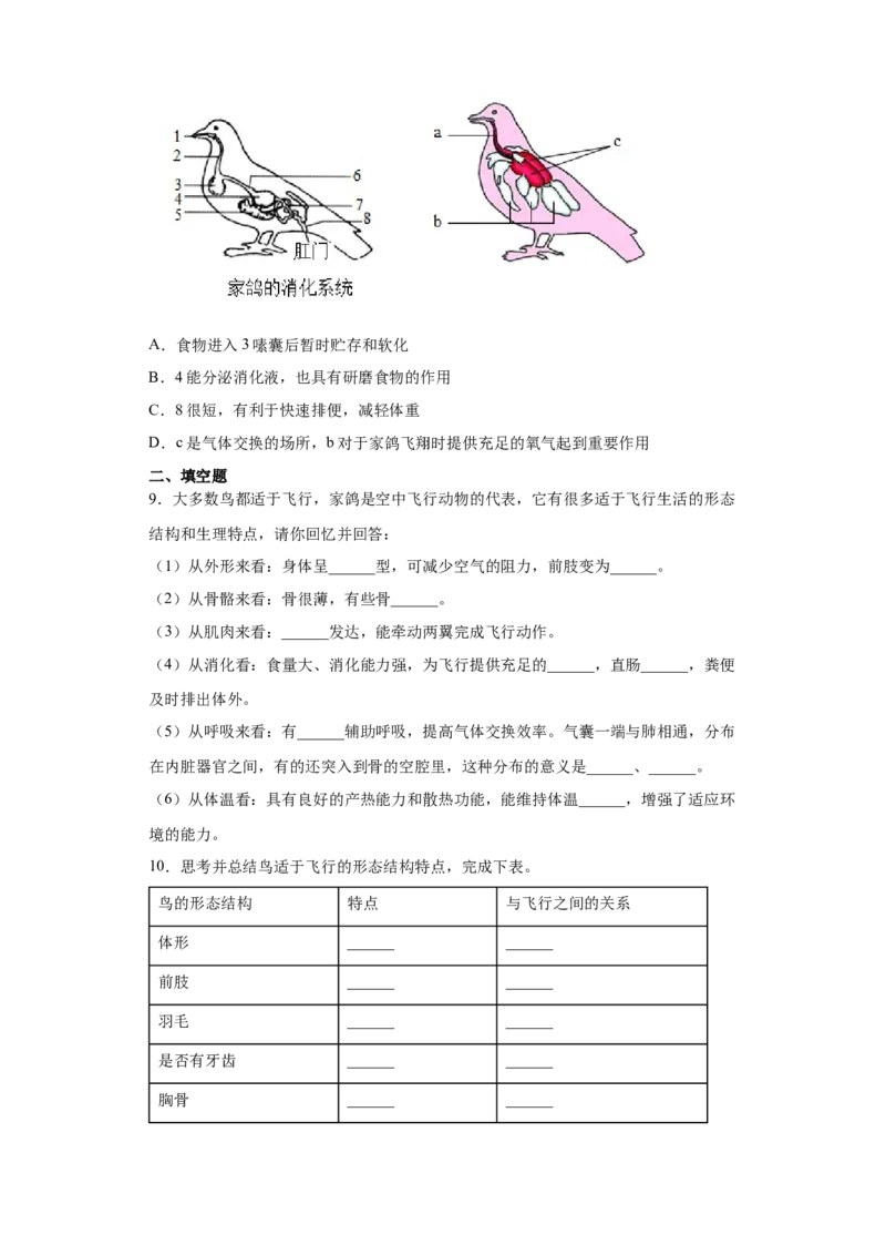 5.1.6鸟（练习）（原卷版）_初中全科电子版试卷练习试题_生物_生物8上练习_人教生物8年级上课时练习37份_第1套八年级生物上册课时练习（人教版）16份