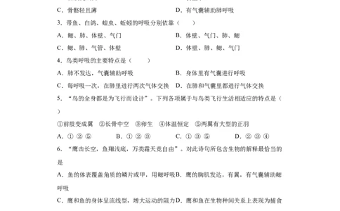 5.1.6鸟（练习）（原卷版）_初中全科电子版试卷练习试题_生物_生物8上练习_人教生物8年级上课时练习37份_第1套八年级生物上册课时练习（人教版）16份