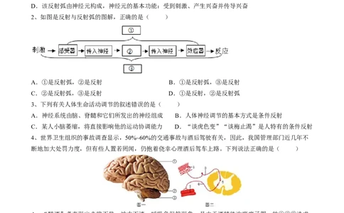 4.6.3神经调节的基本方式（原卷版）_初中全科电子版试卷练习试题_生物_生物人教版7下练习_人教生物7年级下课时练习40份_第2套七年级生物下册课时练习（人教版）20份