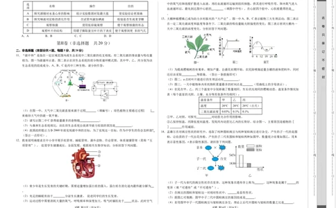 2024年中考押题预测卷（徐州卷）-生物（考试版A3）_初中全科电子版试卷练习试题_生物_2024中考模拟题生物(1)_押题预测