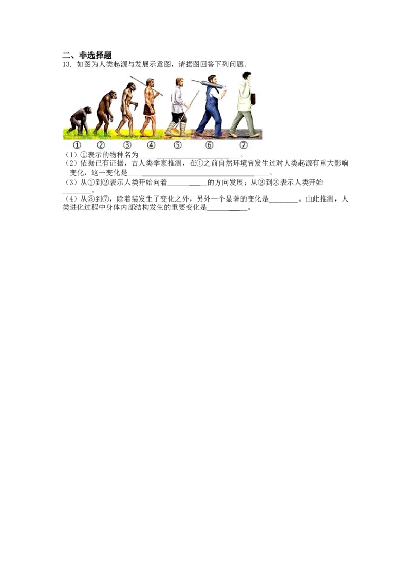 4.1.1人类的起源和发展-（人教版）（原卷版）_初中全科电子版试卷练习试题_生物_生物人教版7下练习_人教生物7年级下课时练习40份