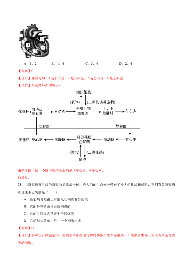 2024年中考押题预测卷01（海南卷）-生物（全解全析）_初中全科电子版试卷练习试题_生物_2024中考模拟题生物(1)_押题预测