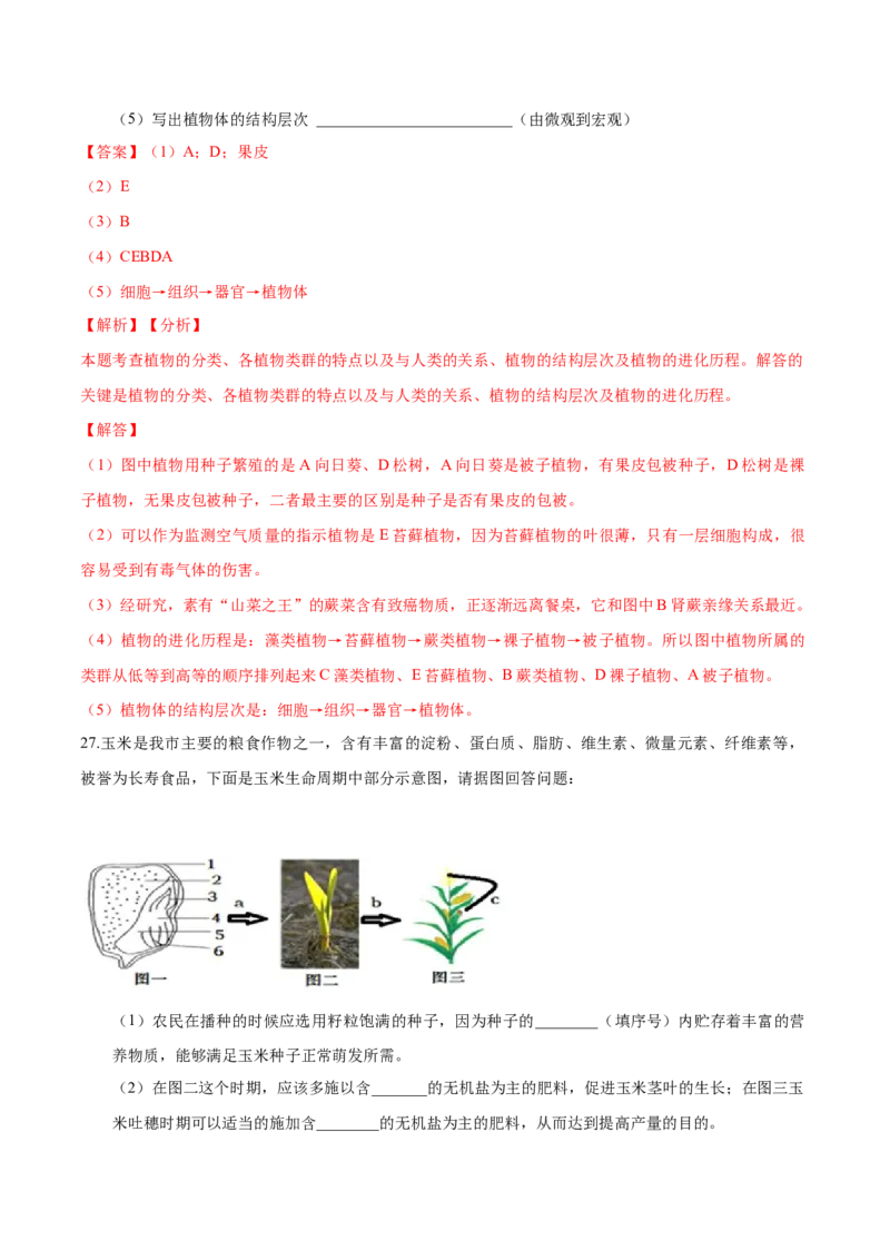 3.1章末检测（解析版）_初中全科电子版试卷练习试题_生物_生物人教版7上练习&mdash;24新版已更新_人教生物7年级上单元试卷36份_第3套七年级生物上册单元试卷（人教版）06份
