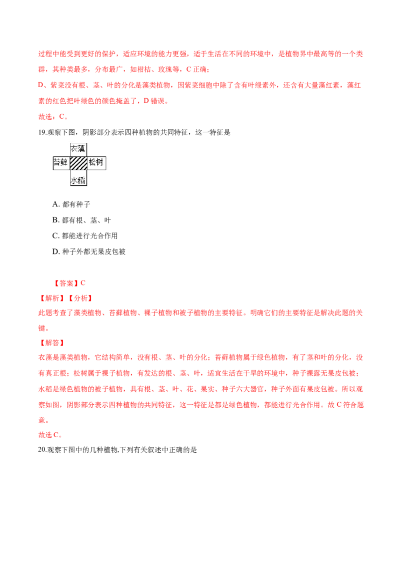 3.1章末检测（解析版）_初中全科电子版试卷练习试题_生物_生物人教版7上练习&mdash;24新版已更新_人教生物7年级上单元试卷36份_第3套七年级生物上册单元试卷（人教版）06份