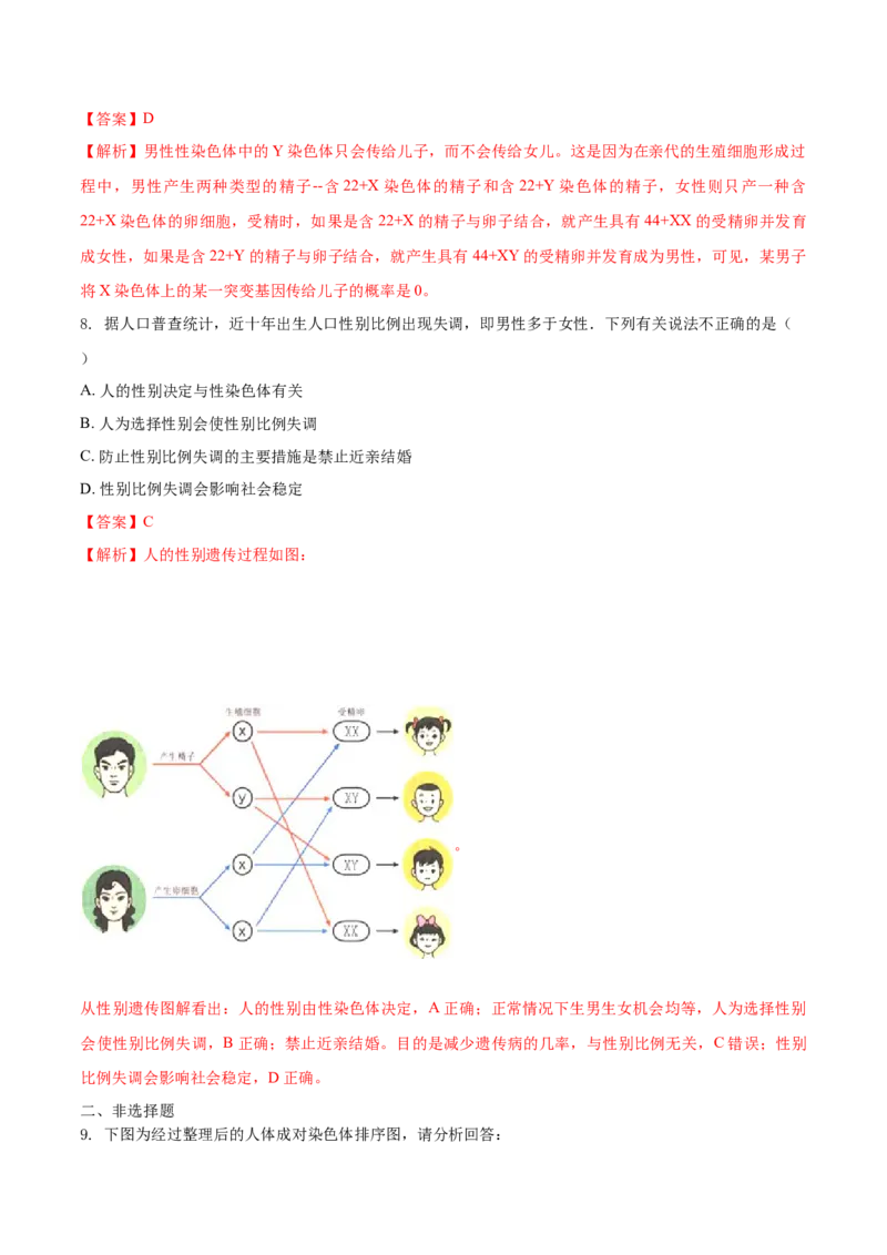 7.2.4人的性别遗传（重点练）-（人教版）（解析版）_初中全科电子版试卷练习试题_生物_生物8下练习_人教生物8年级下课时练习51份