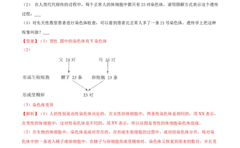 7.2.4人的性别遗传（重点练）-（人教版）（解析版）_初中全科电子版试卷练习试题_生物_生物8下练习_人教生物8年级下课时练习51份