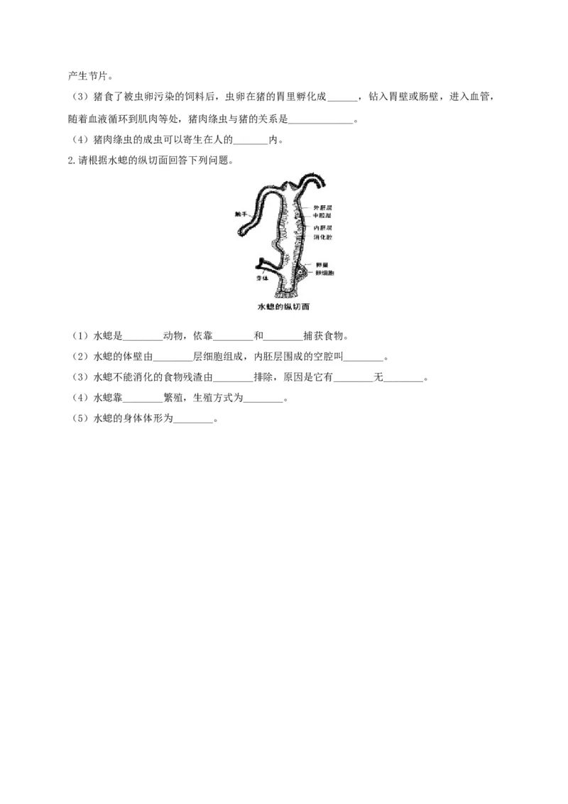 5.1.1腔肠动物和扁形动物（备作业）-（人教版）（原卷版）_初中全科电子版试卷练习试题_生物_生物8上练习_人教生物8年级上课时练习37份