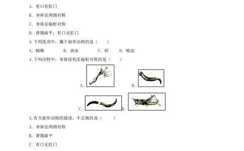 5.1.1腔肠动物和扁形动物（备作业）-（人教版）（原卷版）_初中全科电子版试卷练习试题_生物_生物8上练习_人教生物8年级上课时练习37份