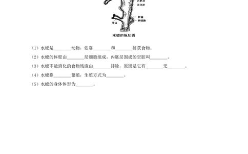 5.1.1腔肠动物和扁形动物（备作业）-（人教版）（原卷版）_初中全科电子版试卷练习试题_生物_生物8上练习_人教生物8年级上课时练习37份