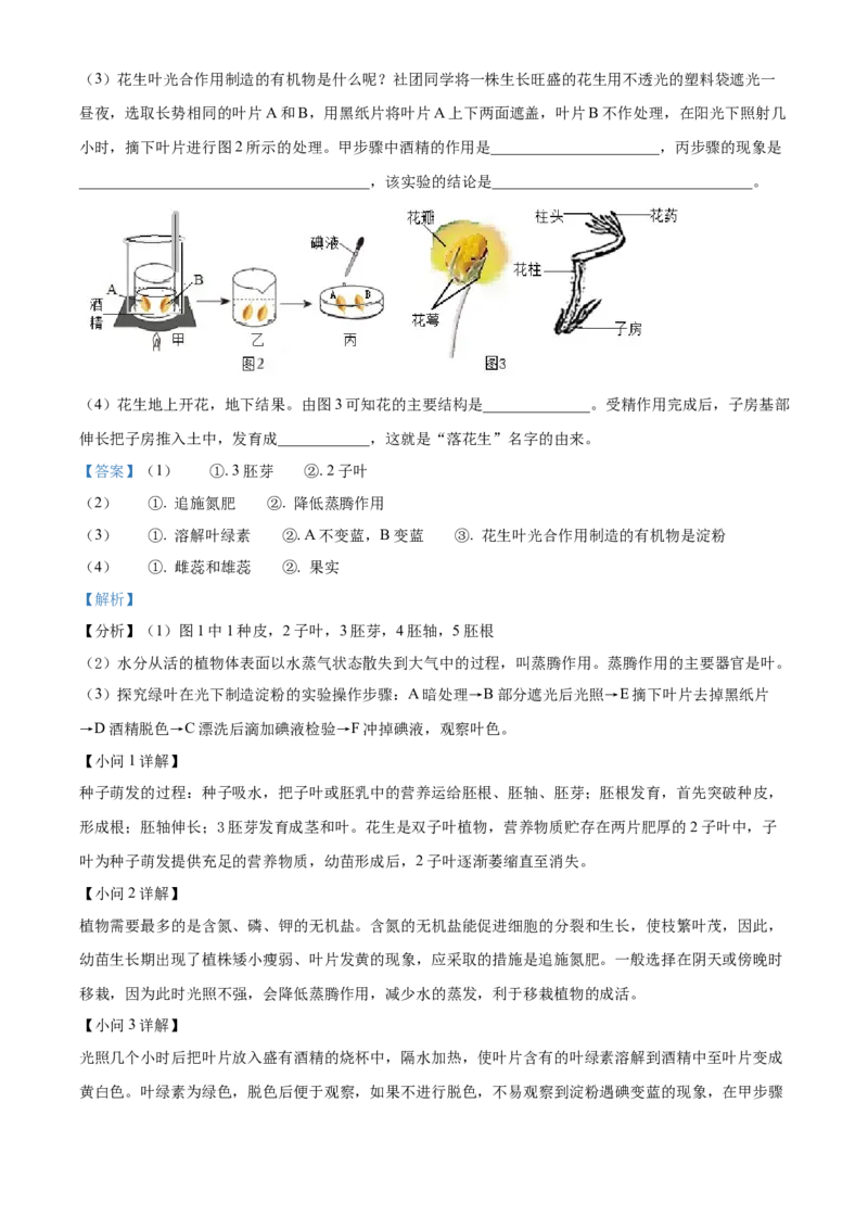 2024年山东省烟台市中考生物真题（解析版）(1)_山东历年中考真题_山东省历年中考真题2013~2024_初中生物历年真题（2013-2024）