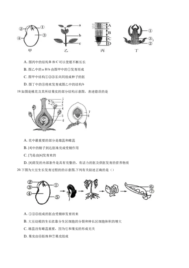 3.2章末检测（原卷版）_初中全科电子版试卷练习试题_生物_生物人教版7上练习&mdash;24新版已更新_人教生物7年级上单元试卷36份_第3套七年级生物上册单元试卷（人教版）06份