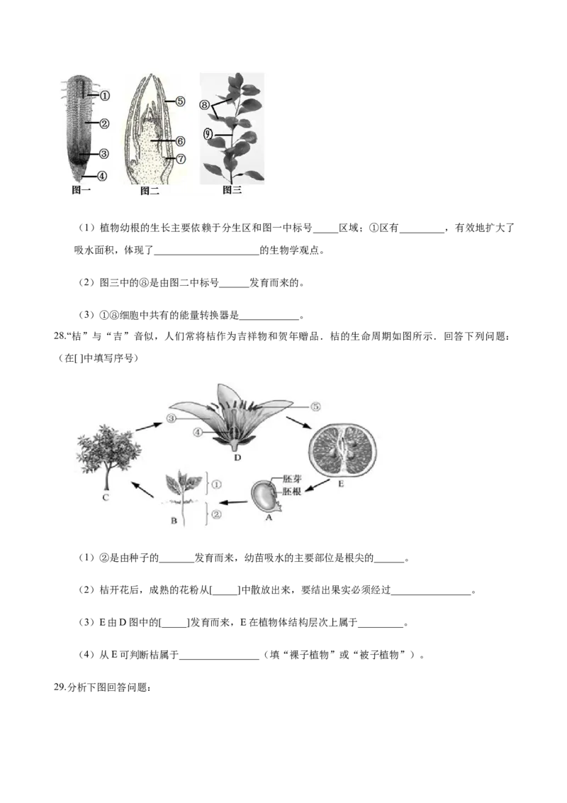 3.2章末检测（原卷版）_初中全科电子版试卷练习试题_生物_生物人教版7上练习&mdash;24新版已更新_人教生物7年级上单元试卷36份_第3套七年级生物上册单元试卷（人教版）06份