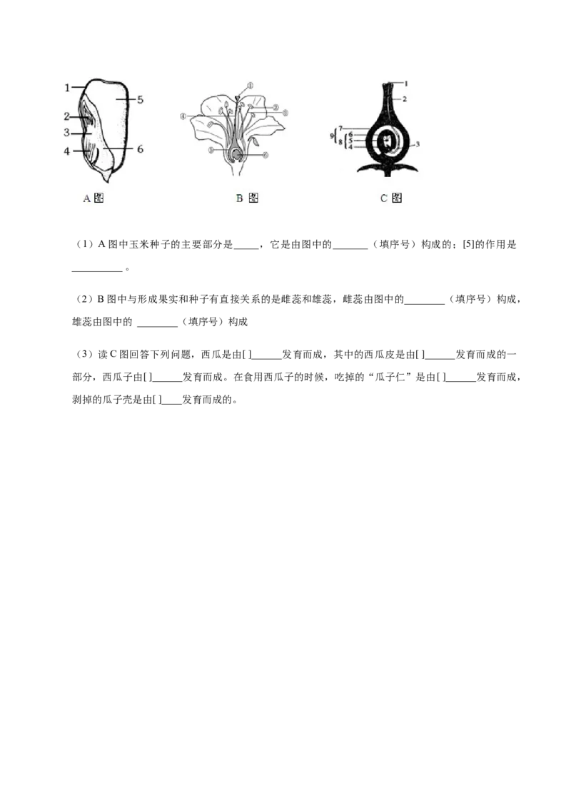 3.2章末检测（原卷版）_初中全科电子版试卷练习试题_生物_生物人教版7上练习&mdash;24新版已更新_人教生物7年级上单元试卷36份_第3套七年级生物上册单元试卷（人教版）06份