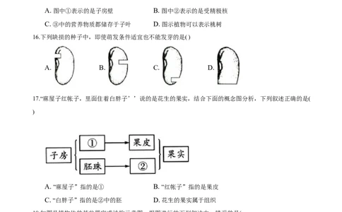 3.2章末检测（原卷版）_初中全科电子版试卷练习试题_生物_生物人教版7上练习&mdash;24新版已更新_人教生物7年级上单元试卷36份_第3套七年级生物上册单元试卷（人教版）06份