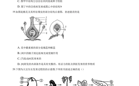 3.2章末检测（原卷版）_初中全科电子版试卷练习试题_生物_生物人教版7上练习&mdash;24新版已更新_人教生物7年级上单元试卷36份_第3套七年级生物上册单元试卷（人教版）06份