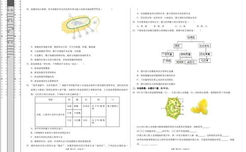 七年级生物期末模拟卷（考试版A3）测试范围：人教版2024七上全册（）_初中全科电子版试卷练习试题_生物_生物人教版7上练习&mdash;24新版已更新_人教生物7年级上期末试卷11份