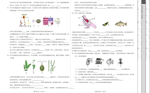 七年级生物期末模拟卷（考试版A3）测试范围：人教版2024七上全册（）_初中全科电子版试卷练习试题_生物_生物人教版7上练习&mdash;24新版已更新_人教生物7年级上期末试卷11份
