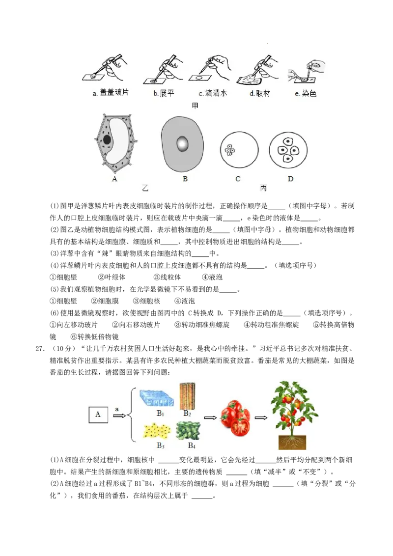七年级生物期末模拟卷01（考试版A4）测试范围：上册全册（人教版2024）_初中全科电子版试卷练习试题_生物_生物人教版7上练习&mdash;24新版已更新_人教生物7年级上期末试卷11份
