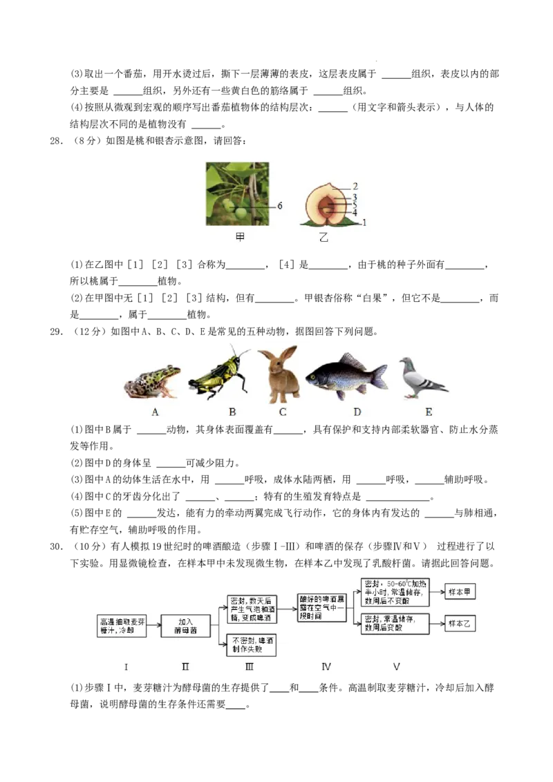 七年级生物期末模拟卷01（考试版A4）测试范围：上册全册（人教版2024）_初中全科电子版试卷练习试题_生物_生物人教版7上练习&mdash;24新版已更新_人教生物7年级上期末试卷11份