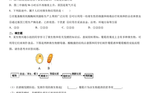 5.4.5人类对细菌和真菌的利用（练习）（原卷版）_初中全科电子版试卷练习试题_生物_生物8上练习_人教生物8年级上课时练习37份