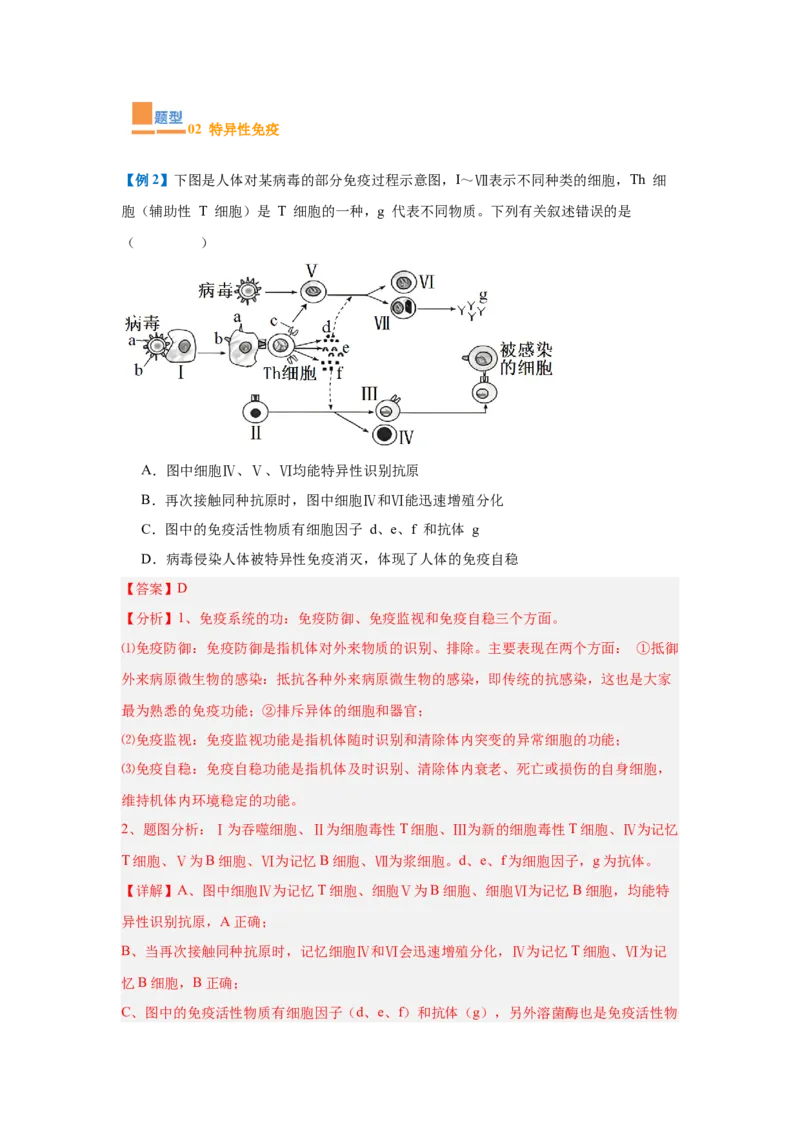 专题14免疫调节（4大题型）（解析版）_2025年新高考资料_一轮复习_备战2025年高考生物一轮复习题型全覆盖（新高考通用）