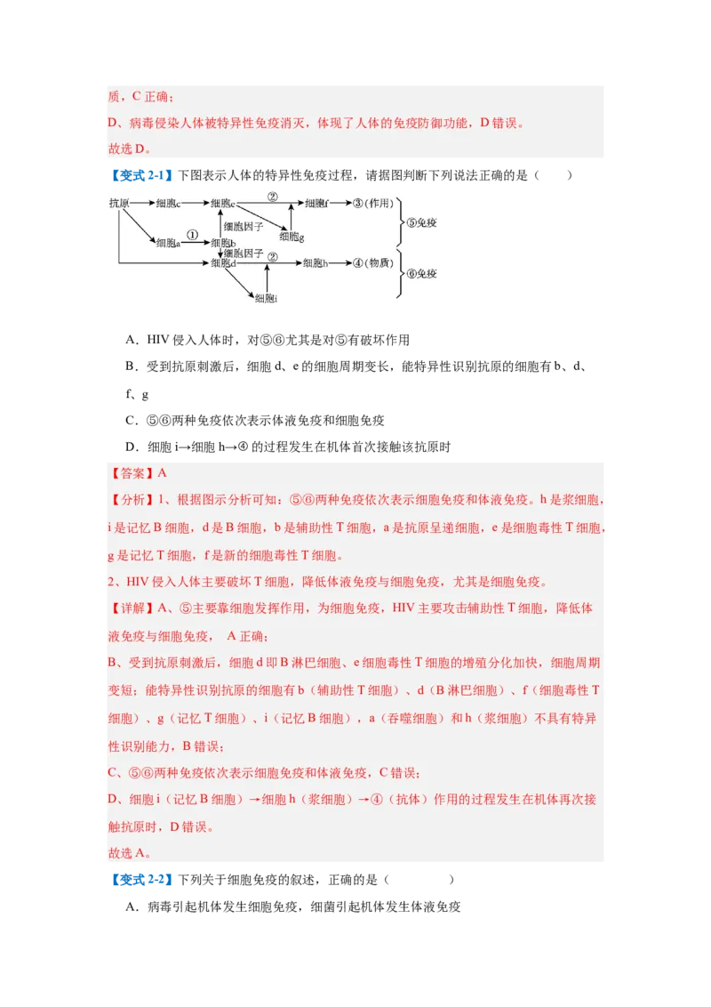 专题14免疫调节（4大题型）（解析版）_2025年新高考资料_一轮复习_备战2025年高考生物一轮复习题型全覆盖（新高考通用）