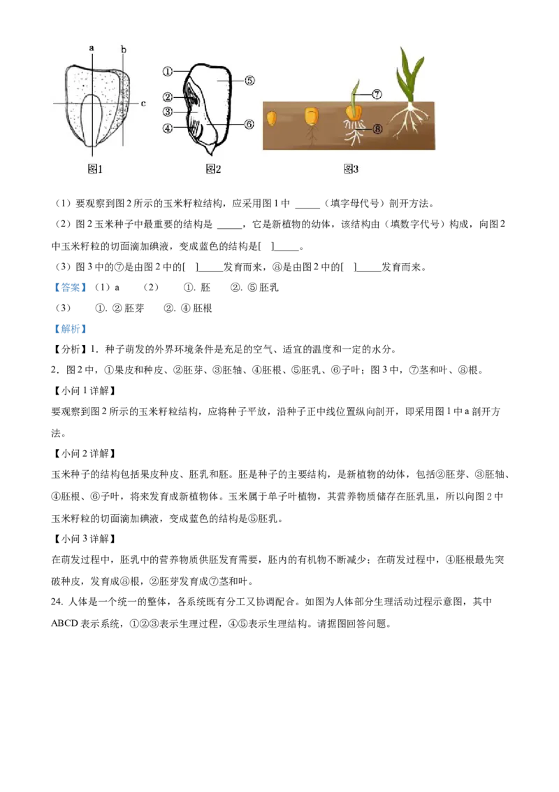 05八年级下学期期末生物试题（解析版）_初中全科电子版试卷练习试题_生物_生物8下练习_人教生物8年级下期末试卷12份
