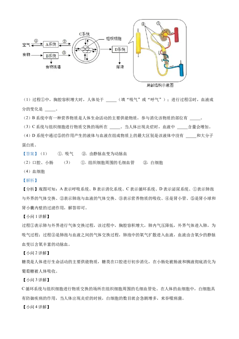 05八年级下学期期末生物试题（解析版）_初中全科电子版试卷练习试题_生物_生物8下练习_人教生物8年级下期末试卷12份